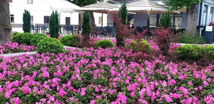 Apartmani Kramar Selce Buitenkant foto